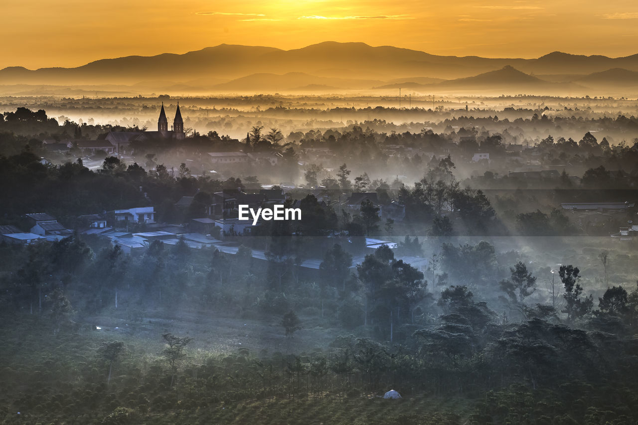 SCENIC VIEW OF FOREST DURING SUNSET