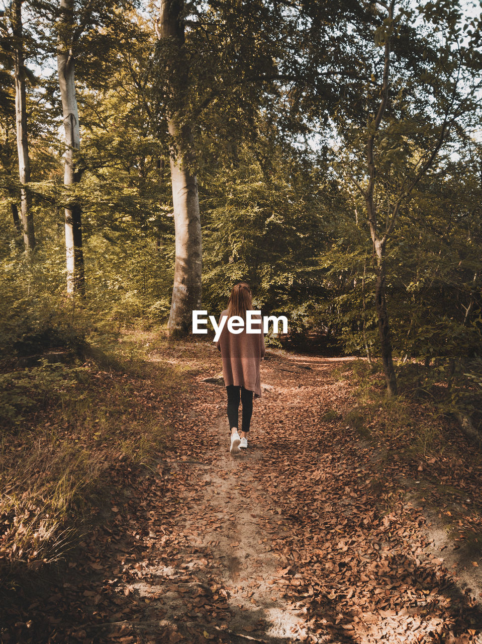 REAR VIEW OF WOMAN WALKING ON STREET AMIDST TREES