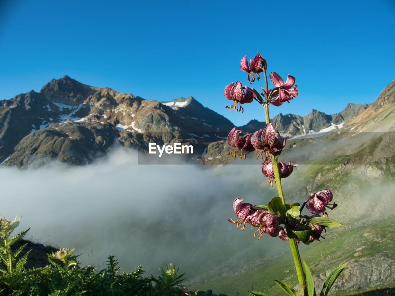 Scenic view of lake and mountains against blue sky