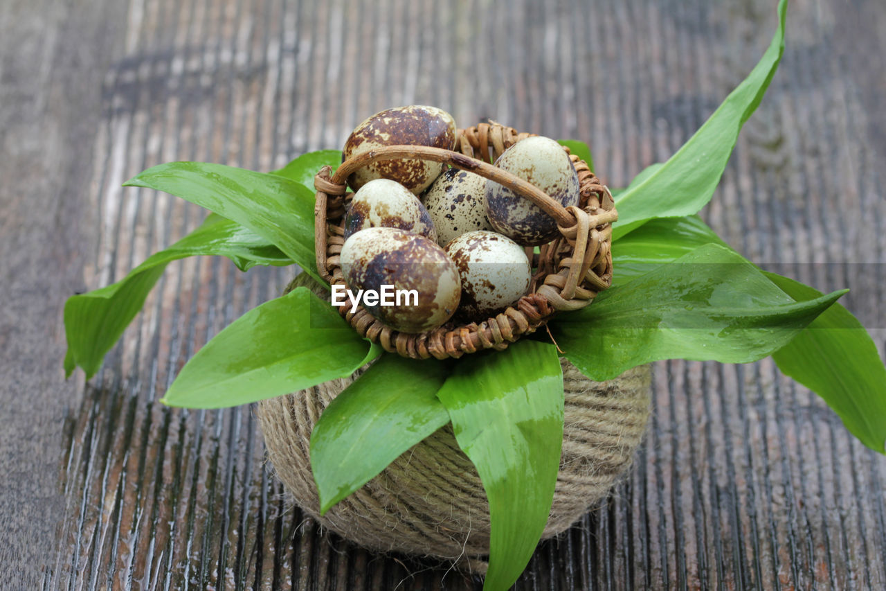 food and drink, wood, food, plant, leaf, flower, plant part, healthy eating, freshness, no people, nature, produce, wellbeing, close-up, green, nut - food, tree, nut, high angle view, table, vegetable, outdoors