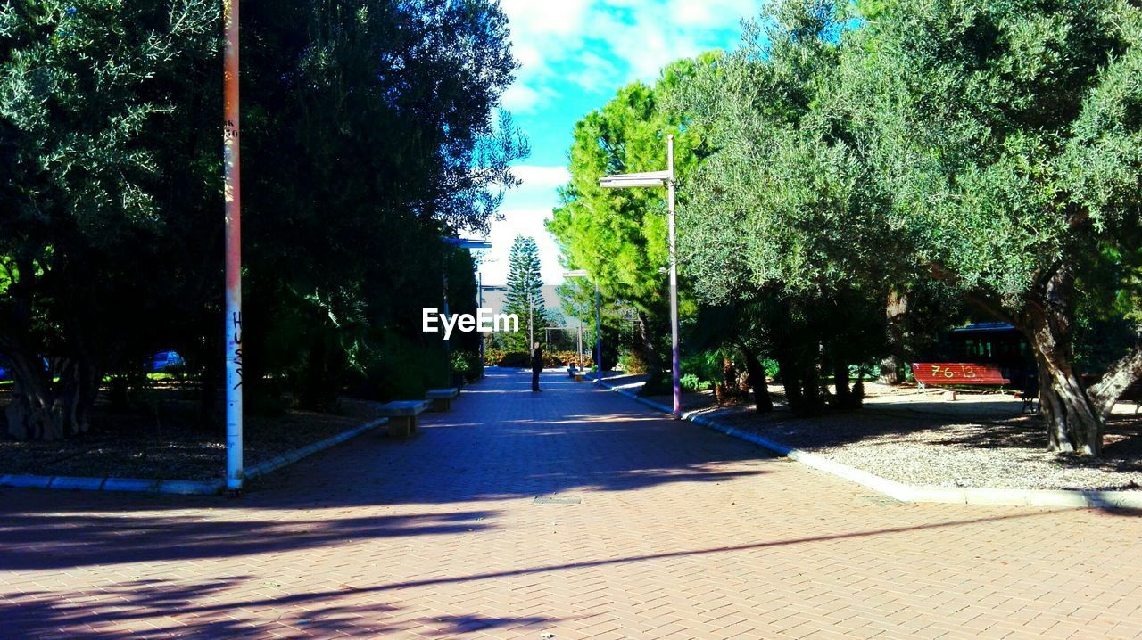 VIEW OF FOOTPATH ALONG TREES