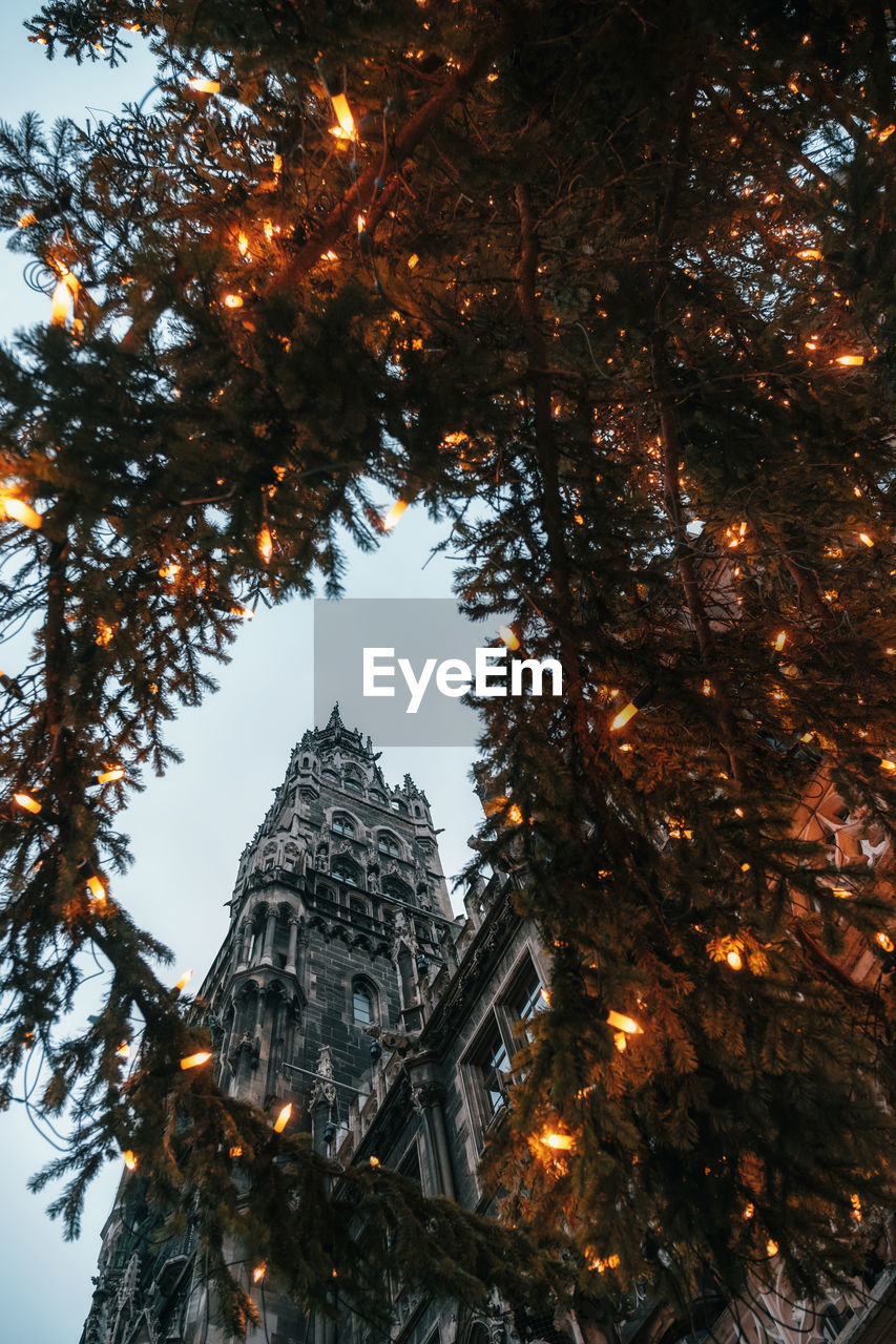 Low angle view of temple seen through illuminated tree