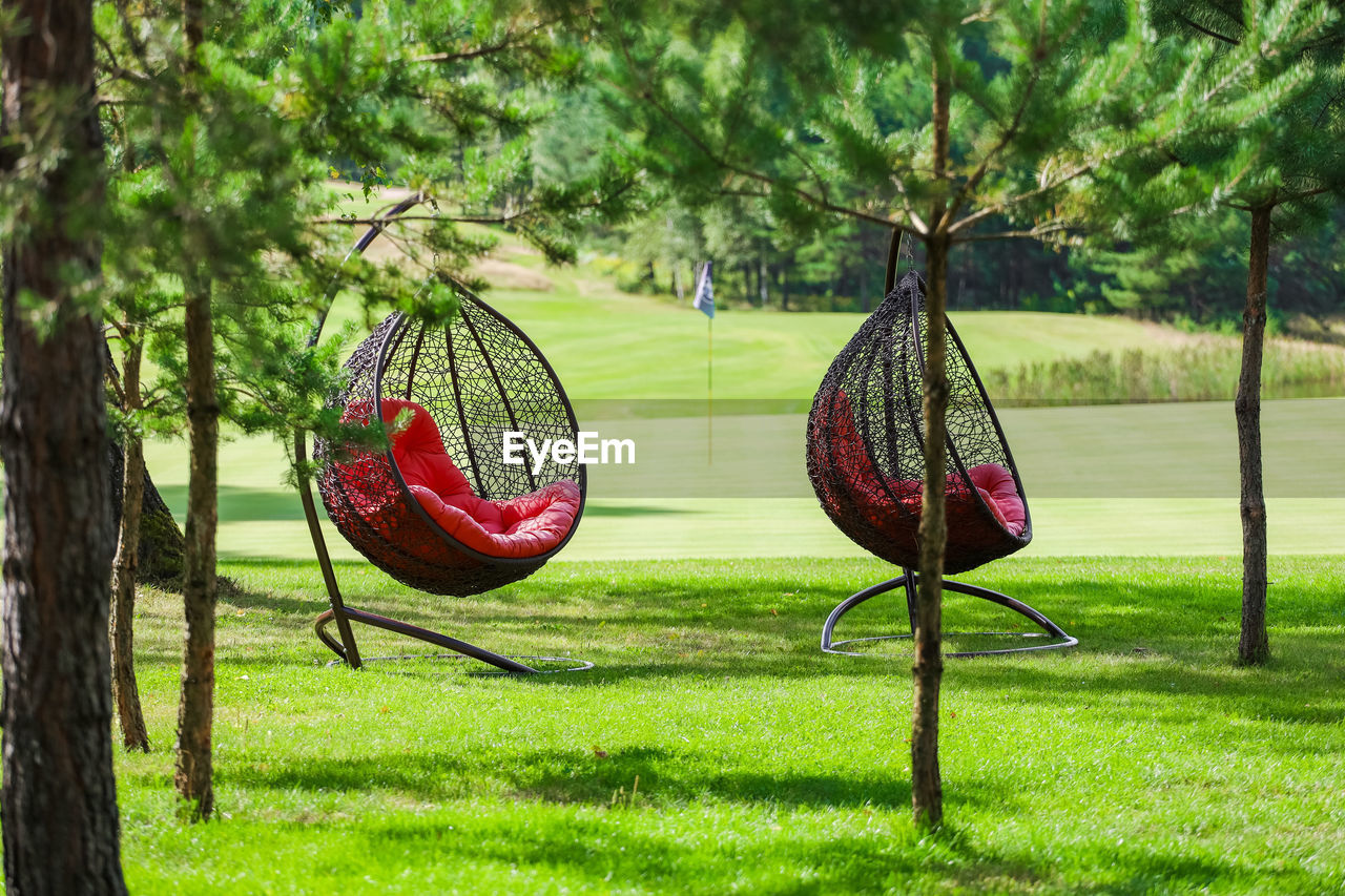 CLOSE-UP OF RED BALL HANGING ON TREE