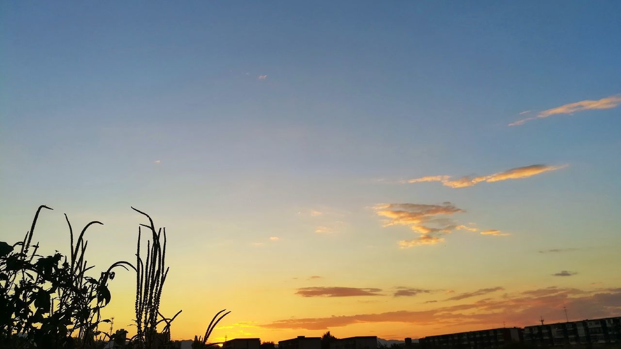 LOW ANGLE VIEW OF SILHOUETTE STREET LIGHT AGAINST SKY