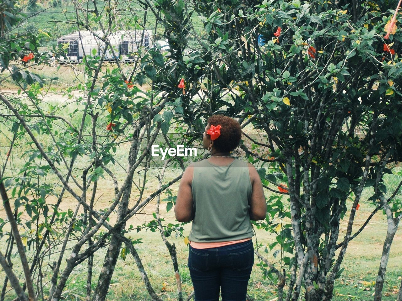 Rear view of woman standing against trees on field