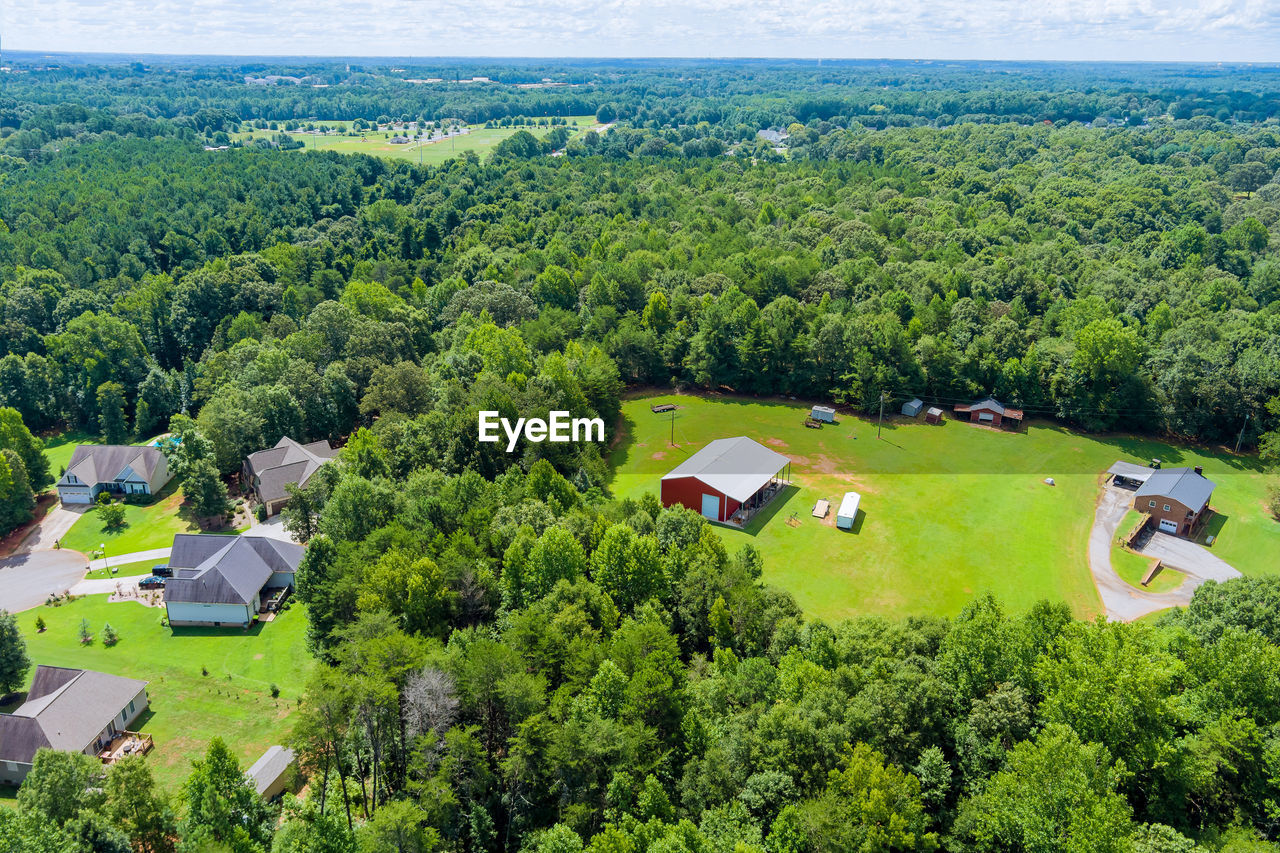 HIGH ANGLE VIEW OF TREES AND PLANTS GROWING IN BUILDING