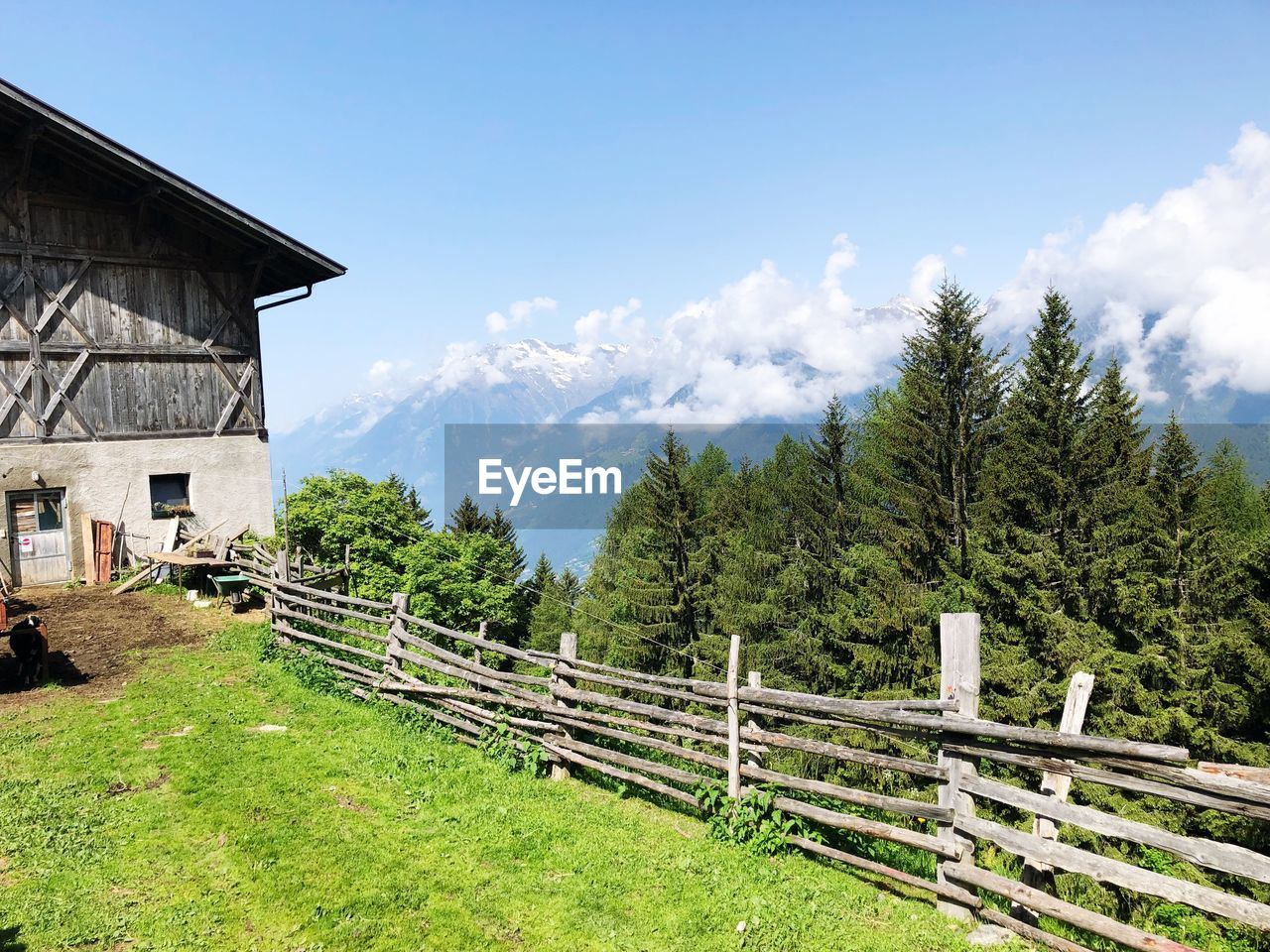 PANORAMIC SHOT OF TREES AND PLANTS ON MOUNTAIN AGAINST SKY