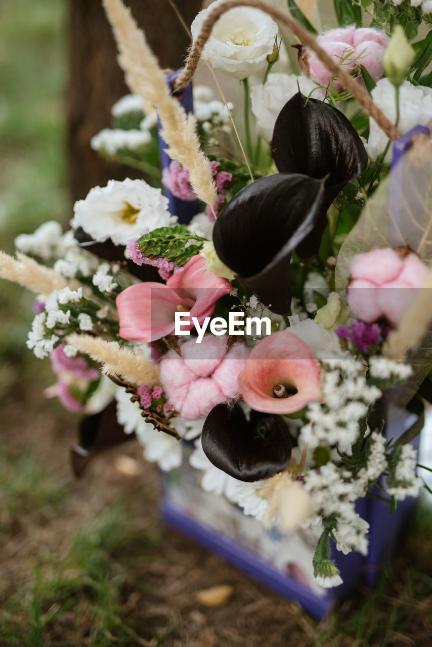 high angle view of flowers