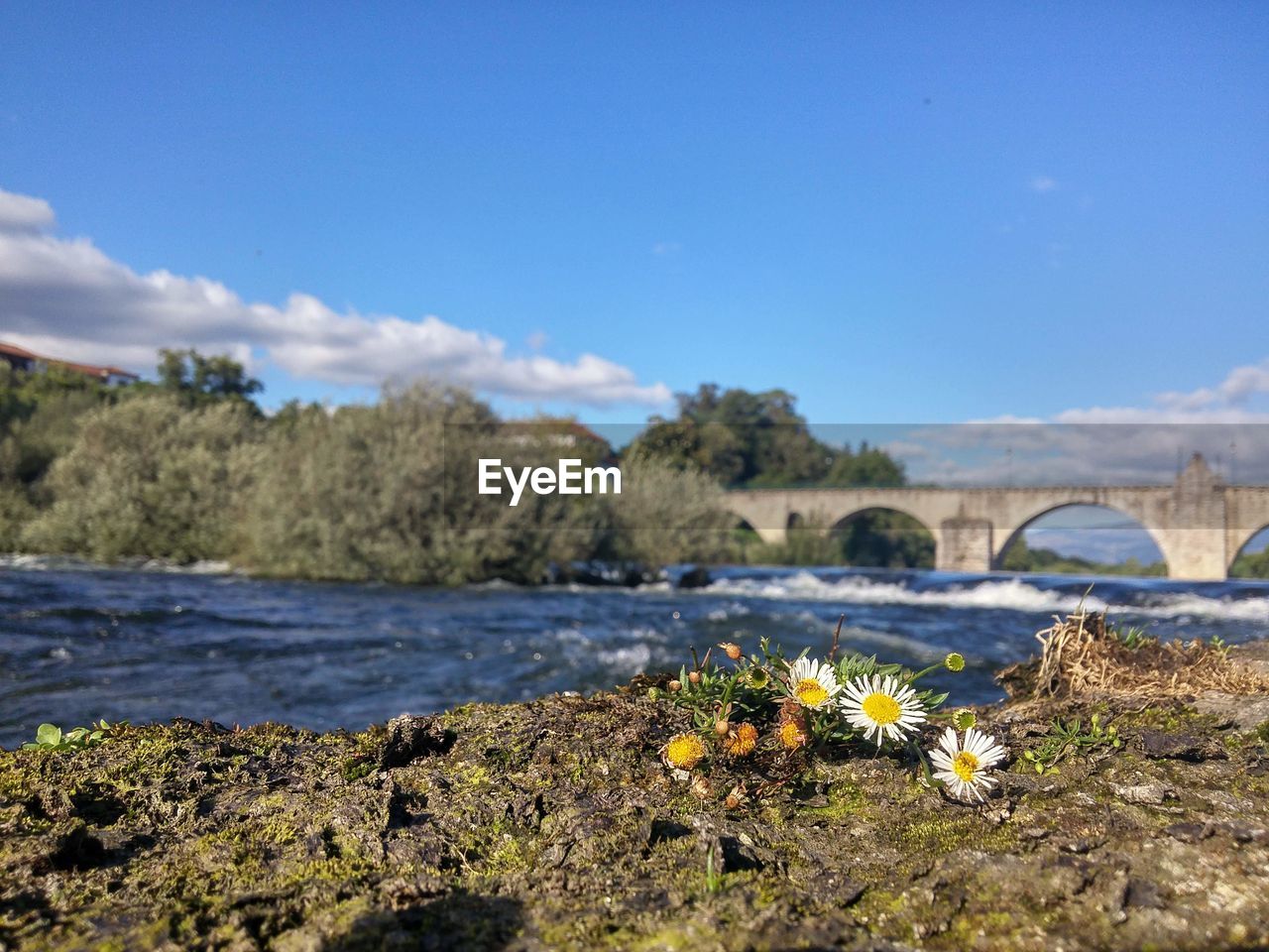 SCENIC VIEW OF RIVER AGAINST SKY