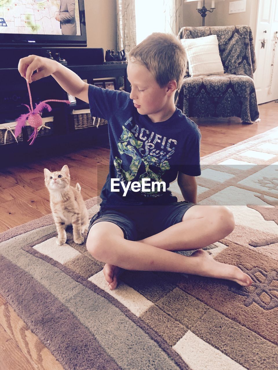 Boy playing with cat on carpet at home