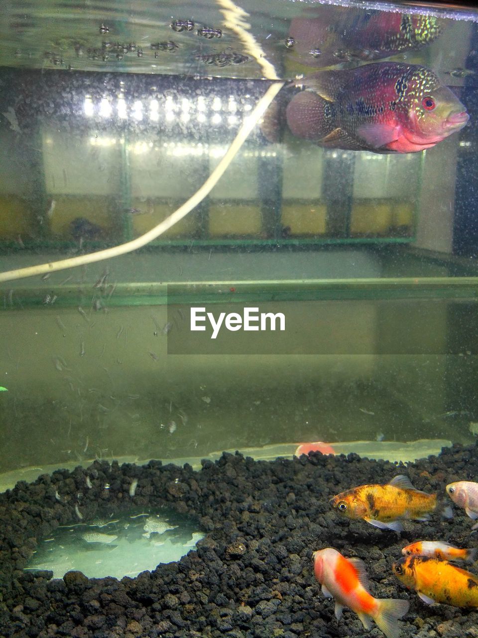 CLOSE-UP OF ILLUMINATED WATER IN CONTAINER