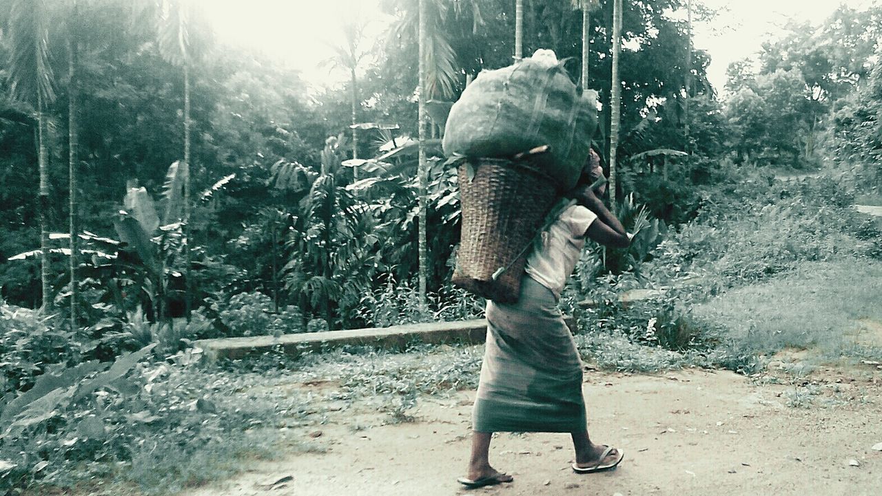 REAR VIEW OF A MAN STANDING IN FOREST