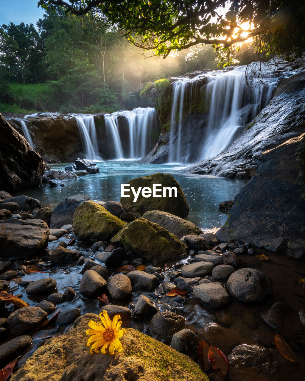 Scenic view of waterfall