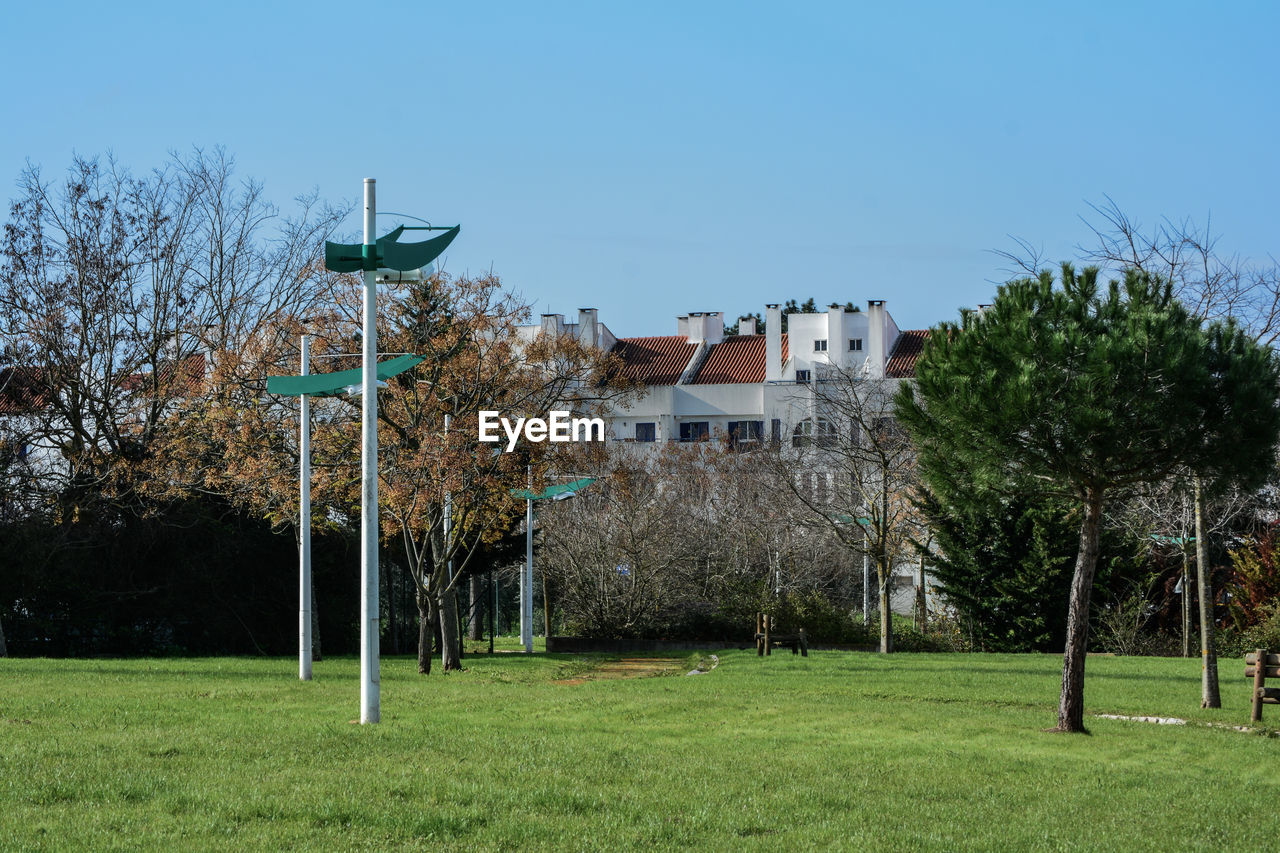 TREES GROWING ON FIELD AGAINST SKY