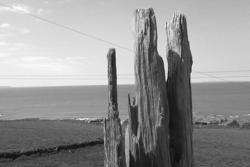 Close-up of broken tree trunk in front of lake against sky