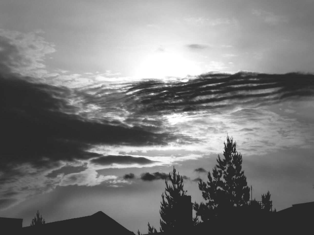 Silhouette trees against cloudy sky at dusk