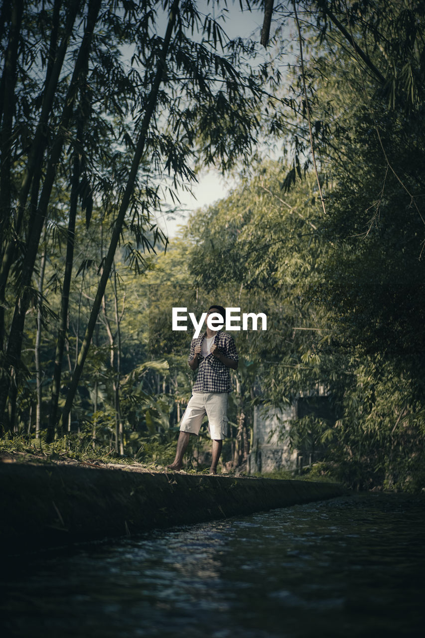 Man standing by trees in forest