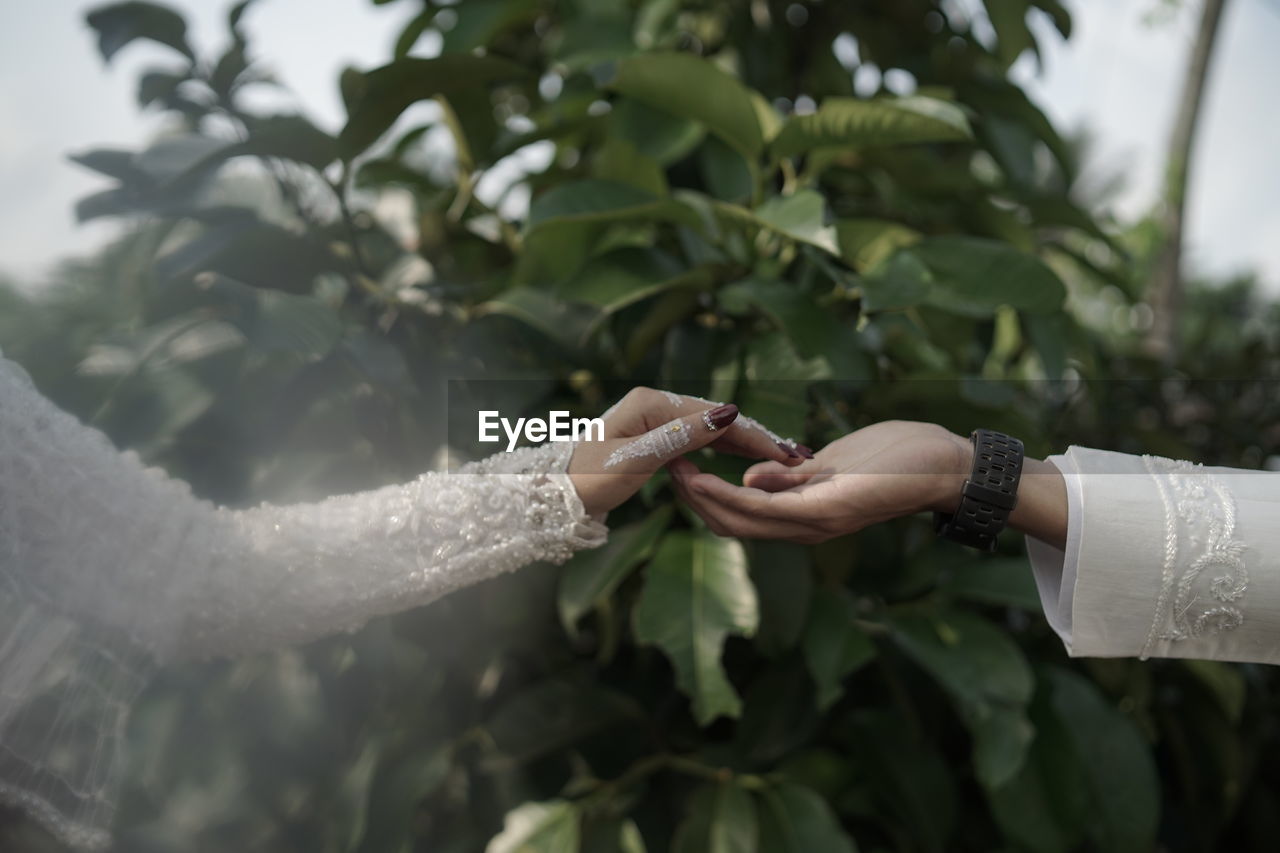 Cropped hand of woman holding plant