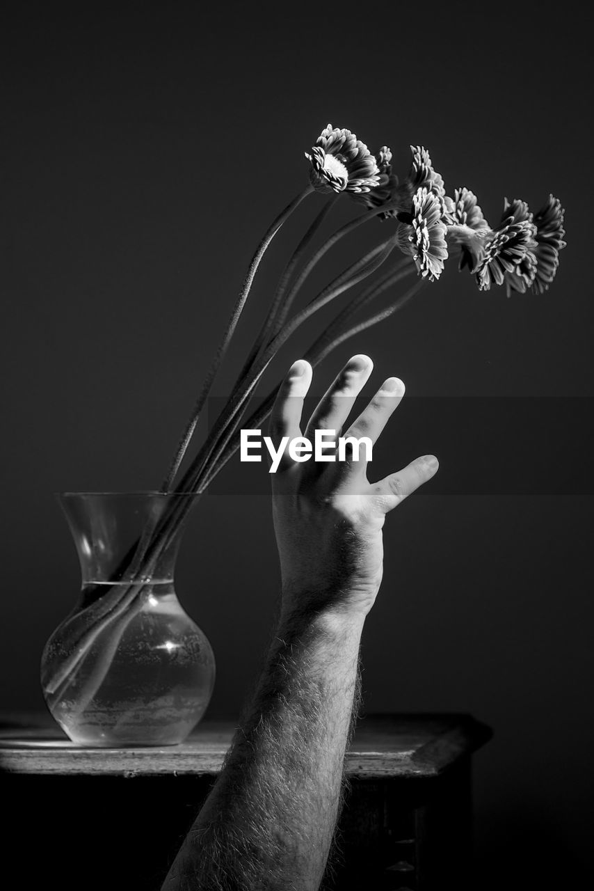 Close-up of hand holding flower vase against black background