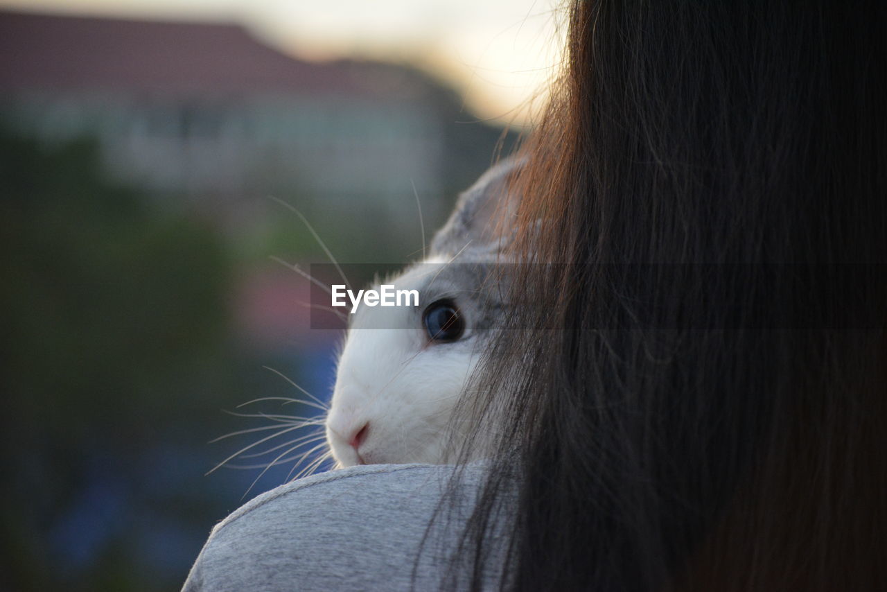 Rear view of woman carrying rabbit while standing outdoors