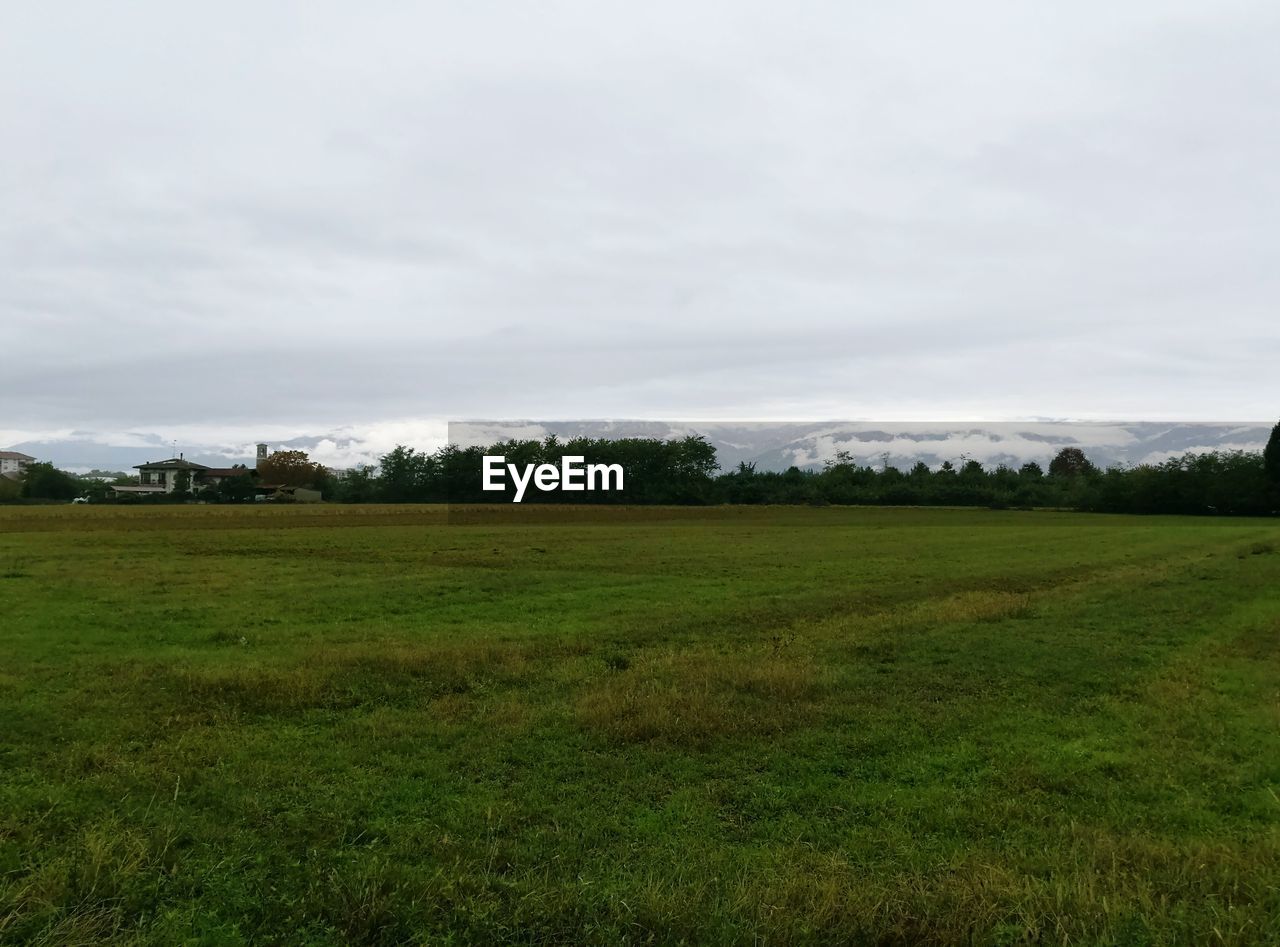 VIEW OF FIELD AGAINST SKY