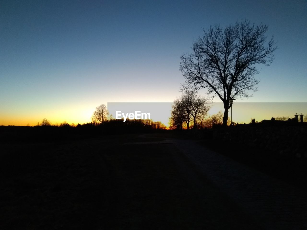 SILHOUETTE TREES ON LANDSCAPE AGAINST CLEAR SKY AT SUNSET