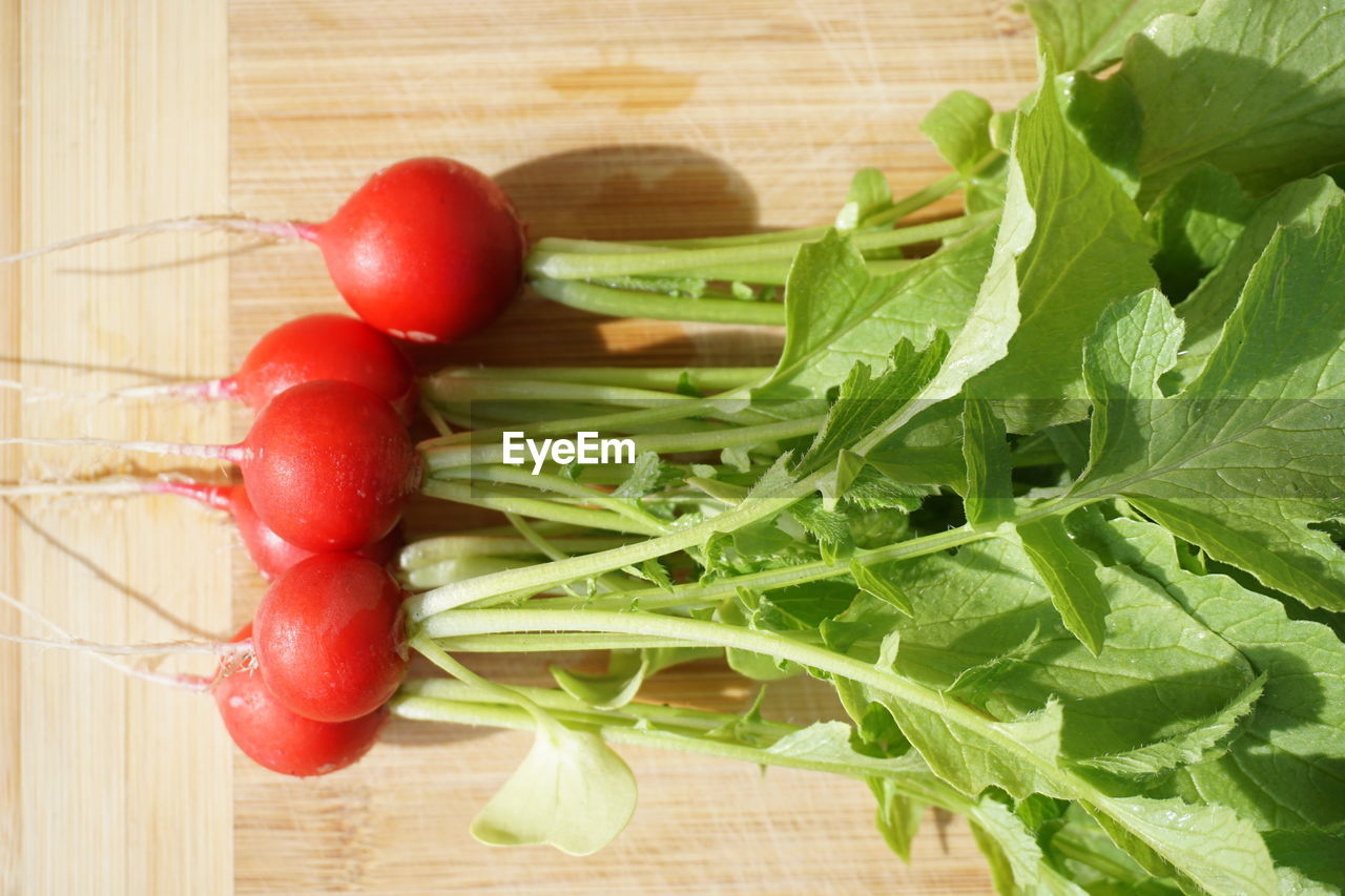 CLOSE-UP OF CHERRIES ON TREE