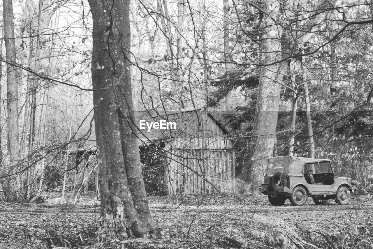 Historic military car, dkw munga, on field by trees in forest by old building