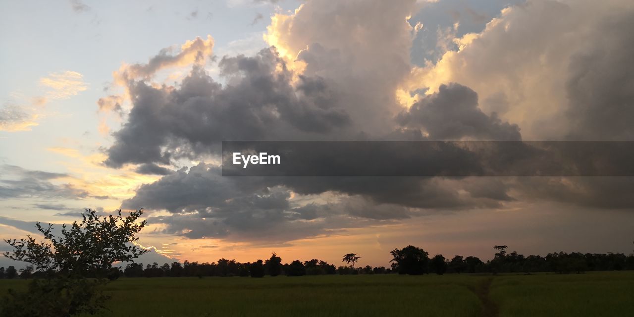 PANORAMIC SHOT OF FIELD AGAINST SKY DURING SUNSET