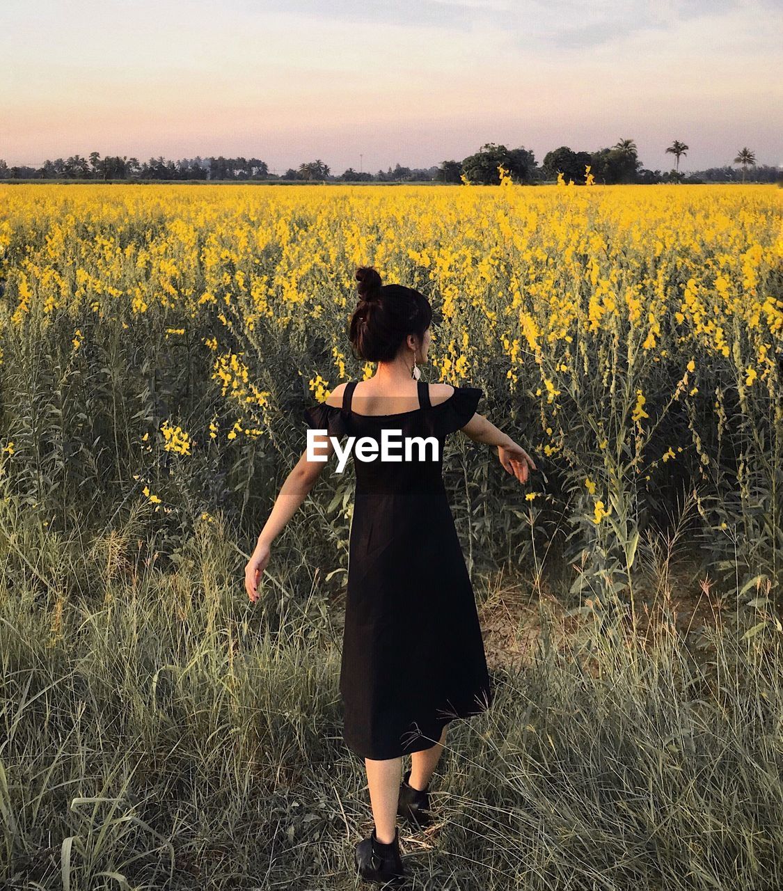 Rear view of woman standing on land against sky during sunset