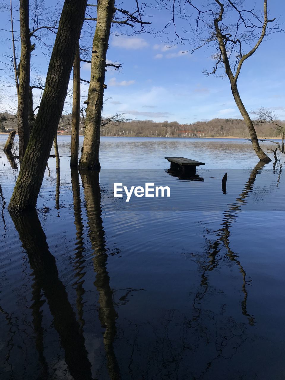 REFLECTION OF TREES IN LAKE AGAINST SKY