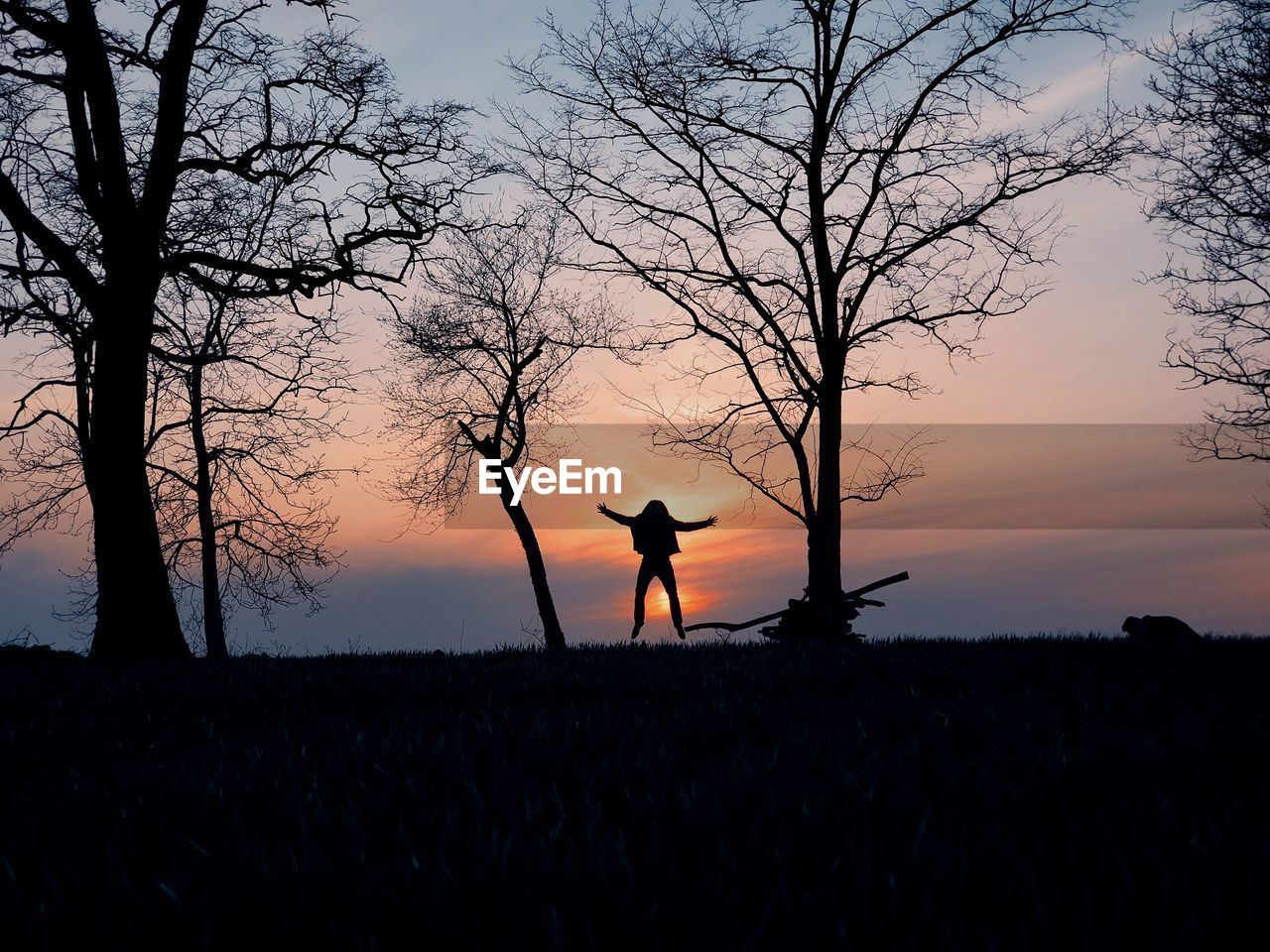 Silhouette man standing on field against sky during sunset