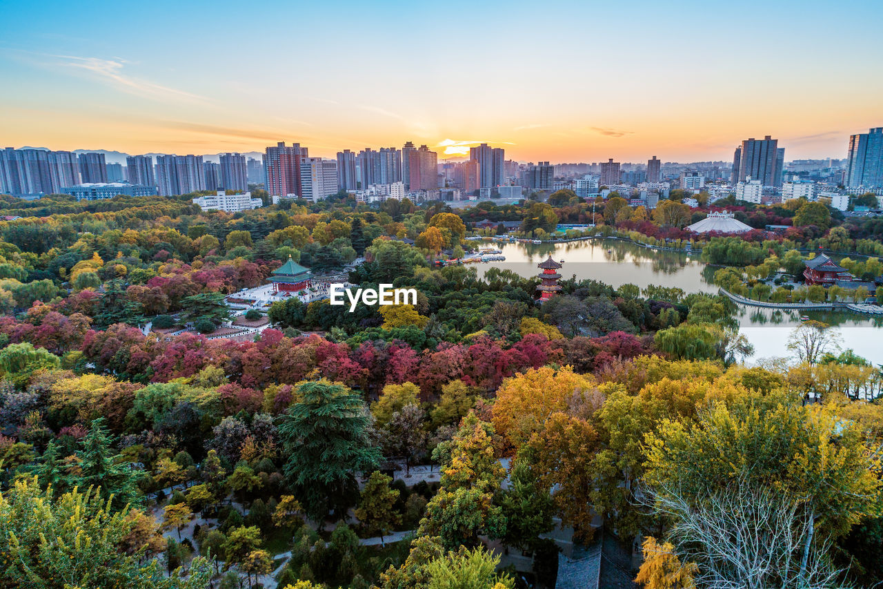 HIGH ANGLE VIEW OF TREES AND BUILDINGS AGAINST SKY