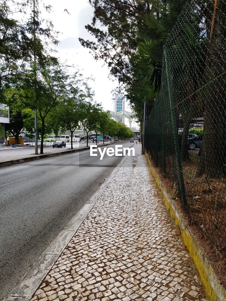 SURFACE LEVEL OF FOOTPATH BY BUILDING IN CITY