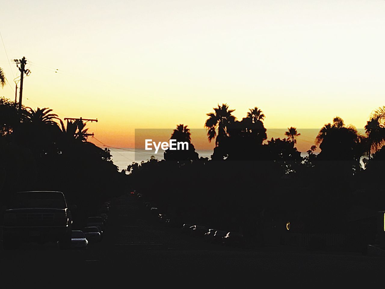 PALM TREES AT SUNSET