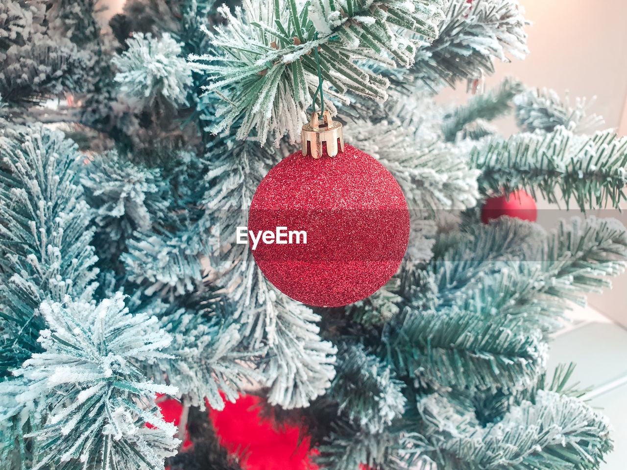 Close up view of a red christmas ball hanging on christmas tree