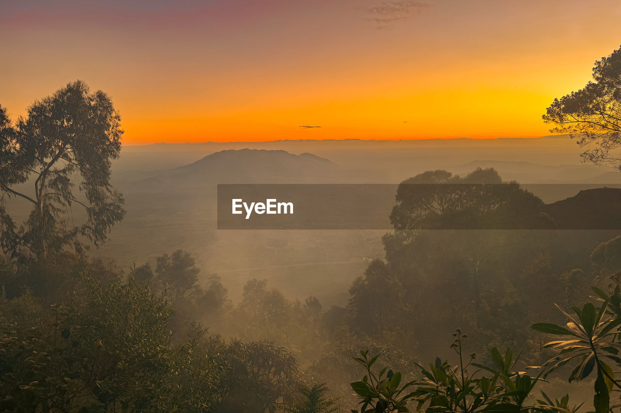 environment, fog, landscape, morning, tree, nature, sunrise, sky, scenics - nature, mountain, plant, beauty in nature, land, sun, dawn, travel, forest, mist, travel destinations, twilight, tourism, sunlight, mountain peak, cloud, social issues, tranquility, mountain range, outdoors, no people, rural scene, tropical climate, vacation, orange color, trip, holiday, horizon, tranquil scene, atmospheric mood, wilderness, silhouette, yellow, sunbeam, non-urban scene, valley, idyllic, igniting, summer, environmental conservation, dramatic sky