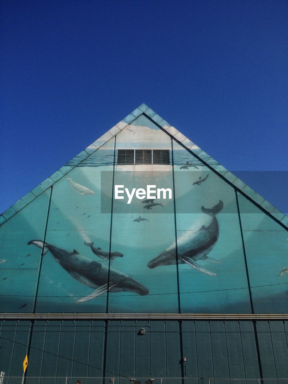 LOW ANGLE VIEW OF FISH SWIMMING IN SEA AGAINST CLEAR SKY