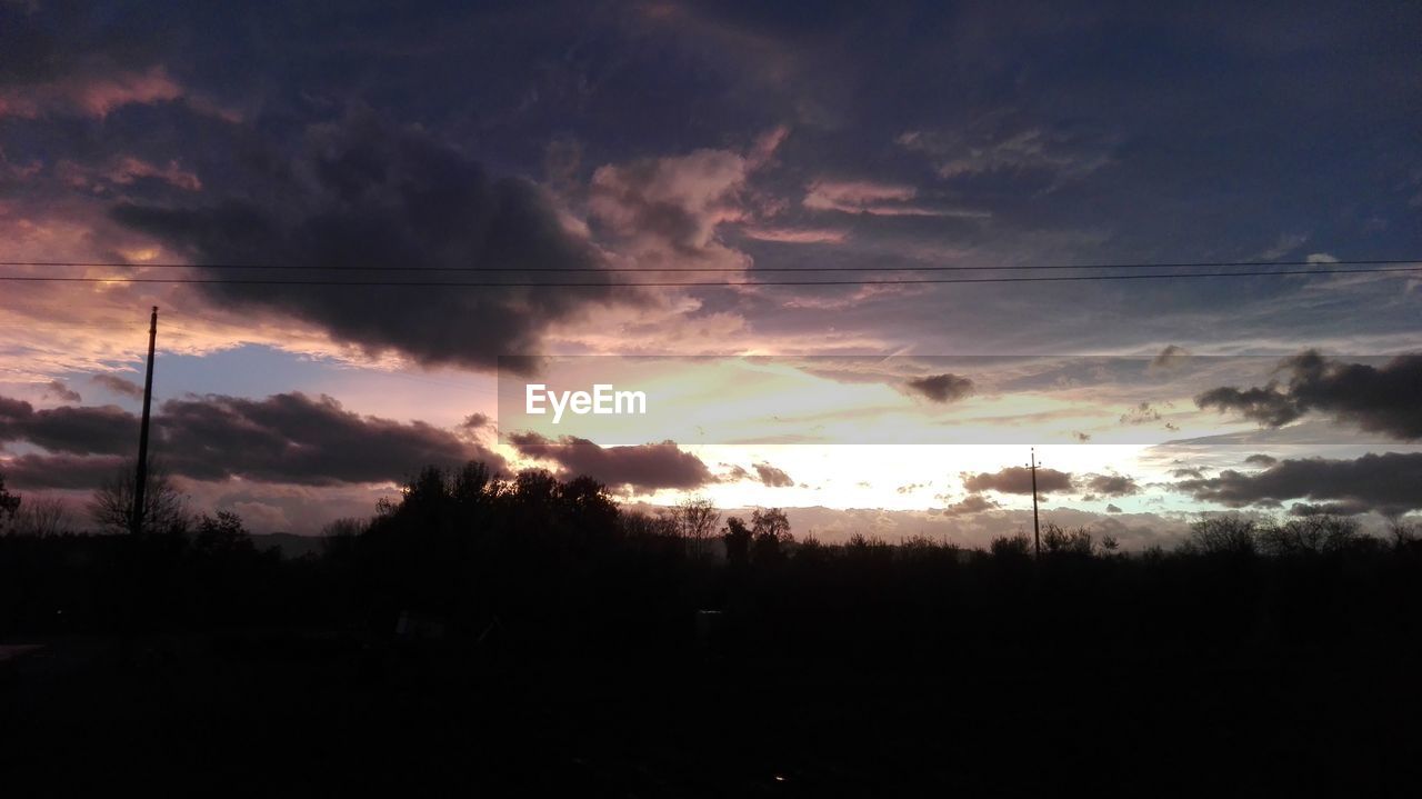 SILHOUETTE OF TREES AGAINST DRAMATIC SKY