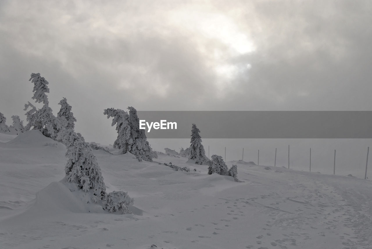 SCENIC VIEW OF SNOW COVERED LANDSCAPE