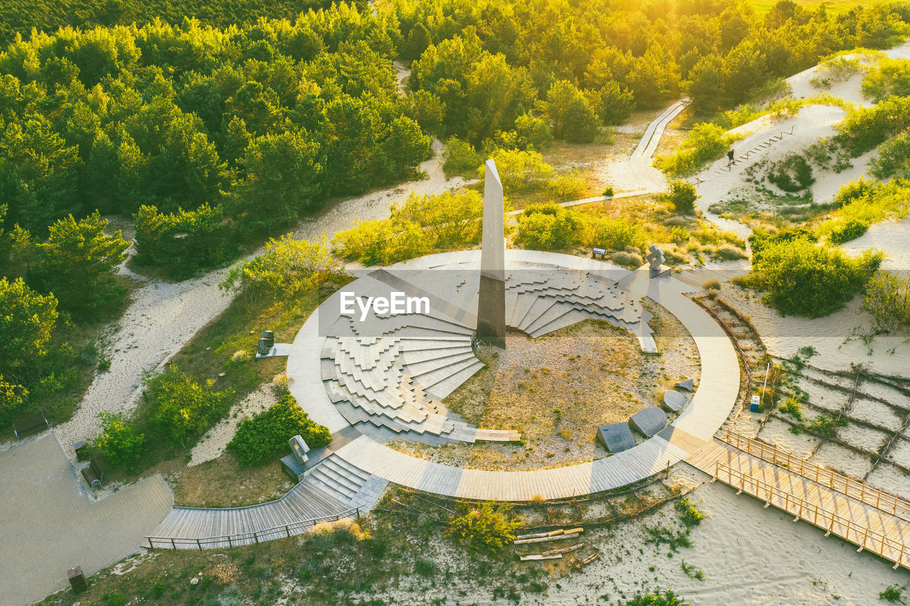 HIGH ANGLE VIEW OF TREES IN PARK