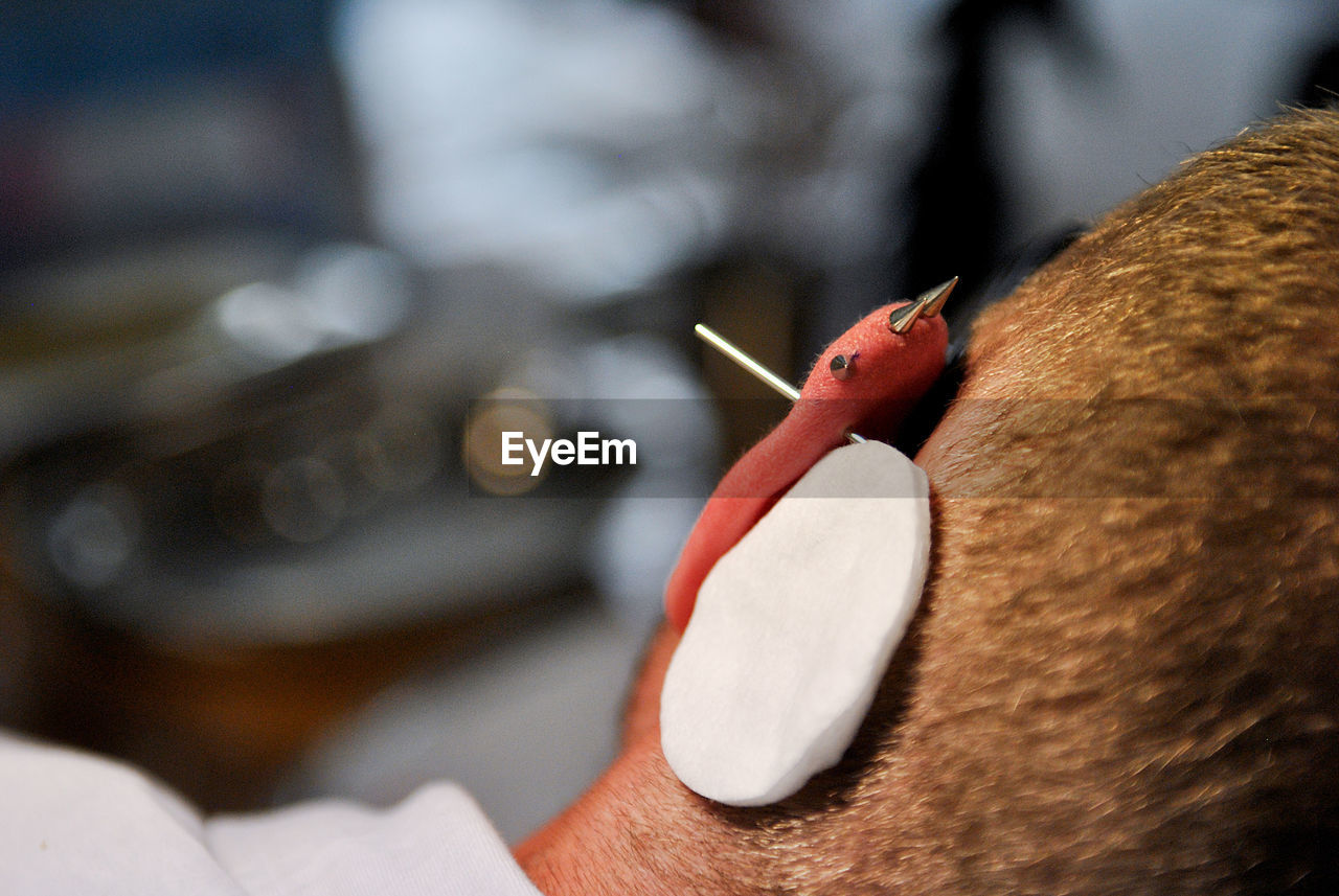 Close-up of man pierced ear