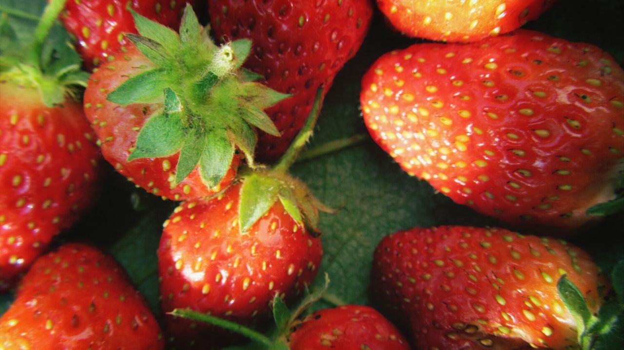 FULL FRAME SHOT OF STRAWBERRIES