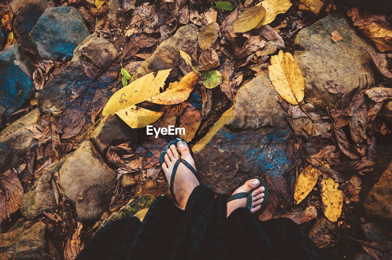 Low section of person standing on rock during autumn