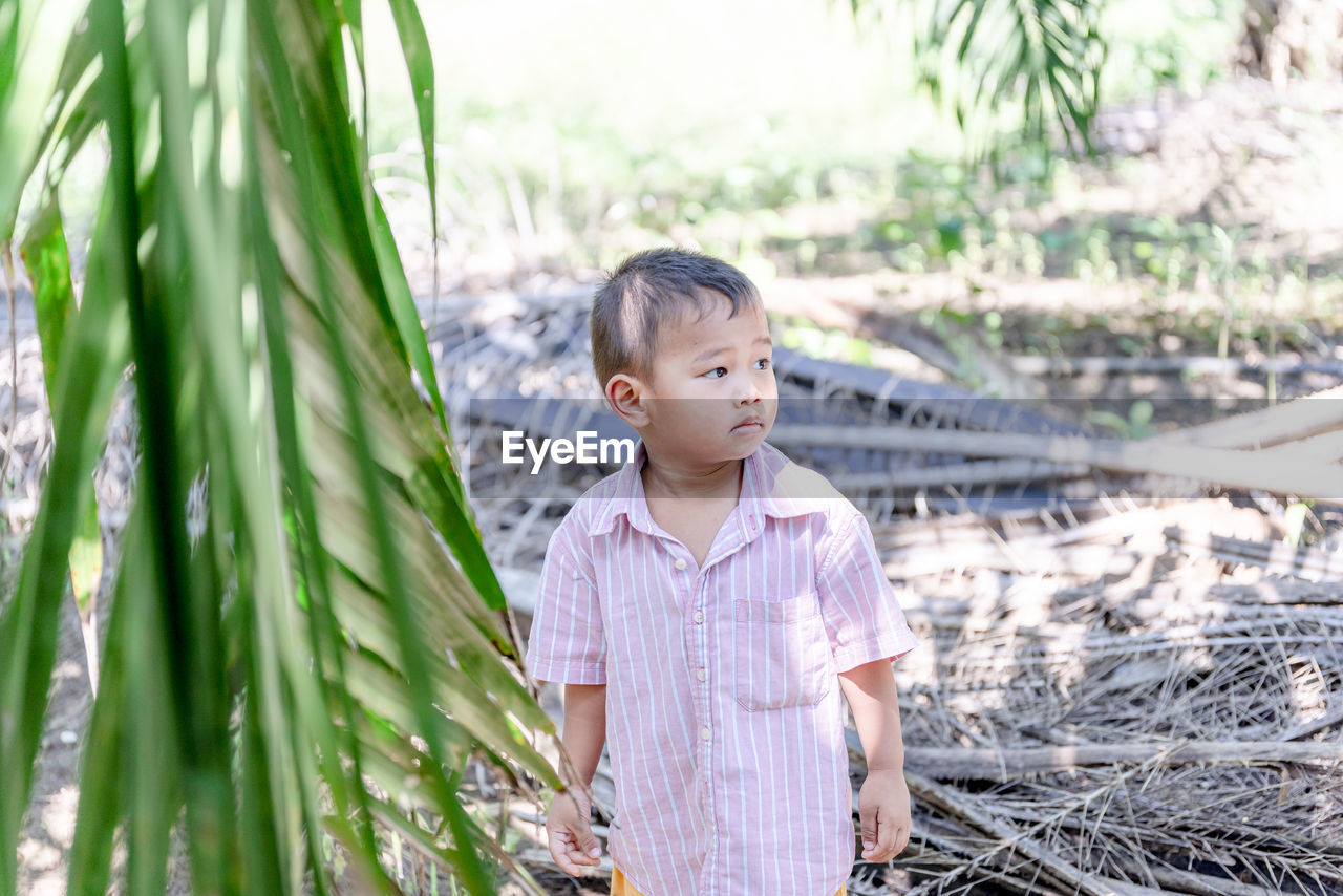 Cute boy standing amidst plants on sunny day