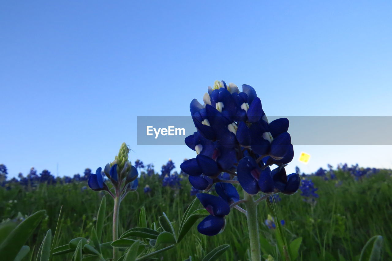 Scenic view of field against cloudy sky