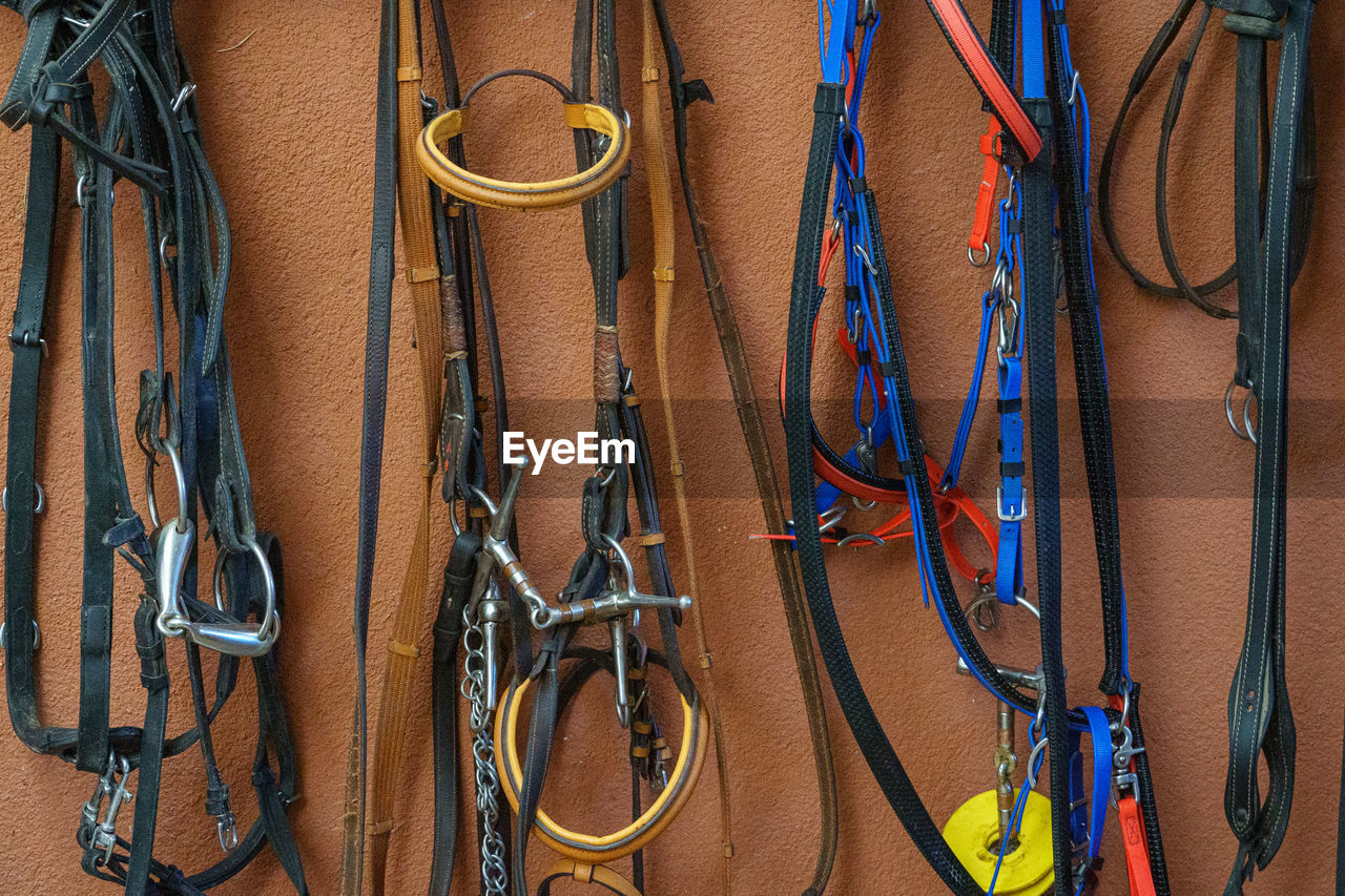 Close up of saddles and bridles