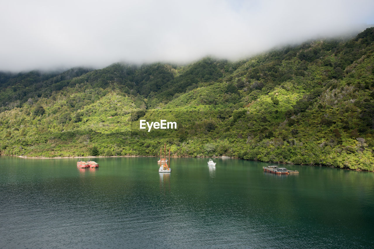 SCENIC VIEW OF LAKE BY TREES AGAINST MOUNTAIN