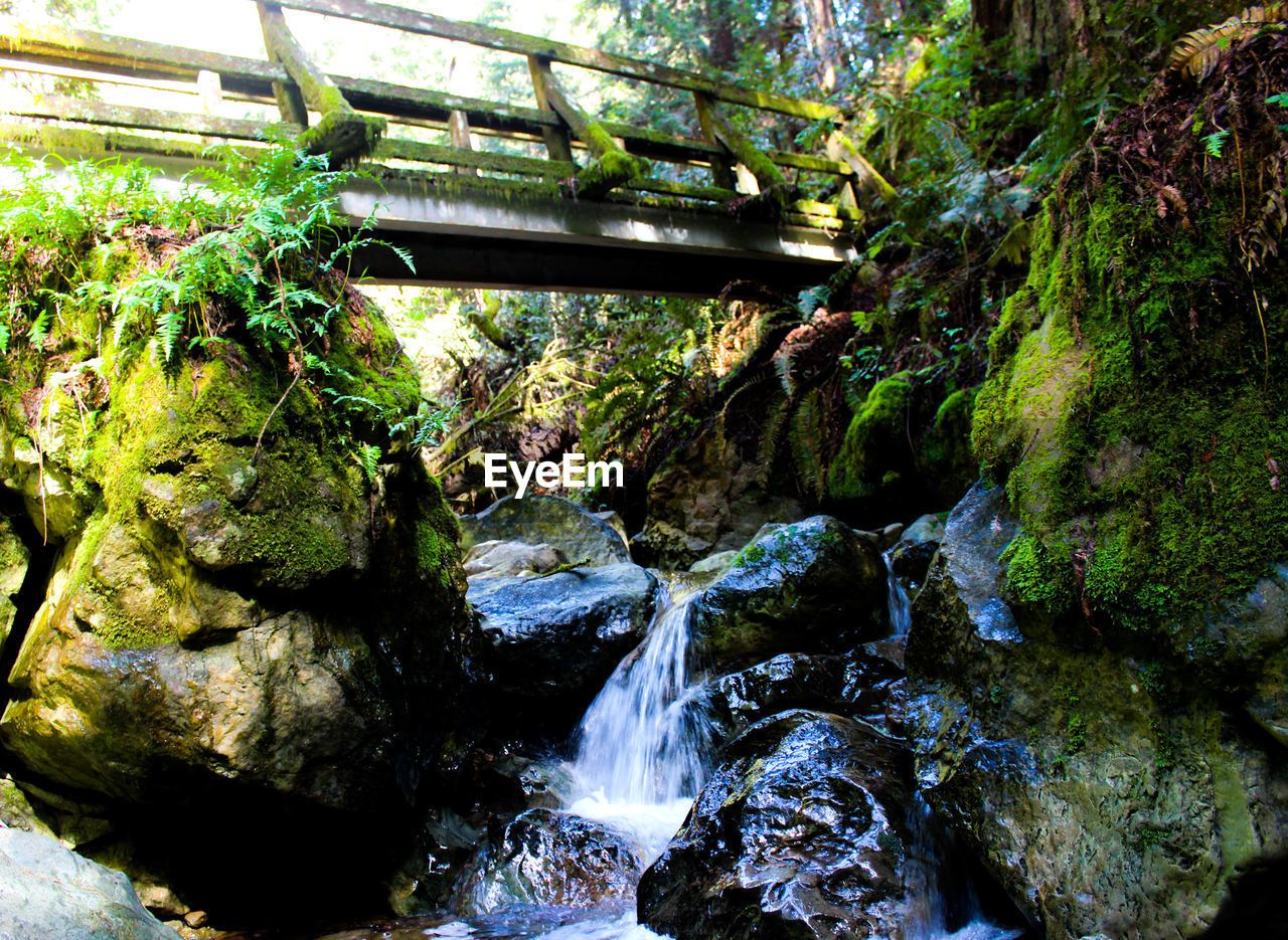 WATERFALL AMIDST ROCKS IN FOREST