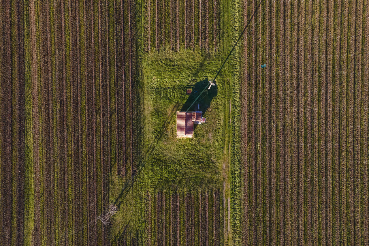 Aerial view of a house in agricultural field, sieci, tuscany, italy.